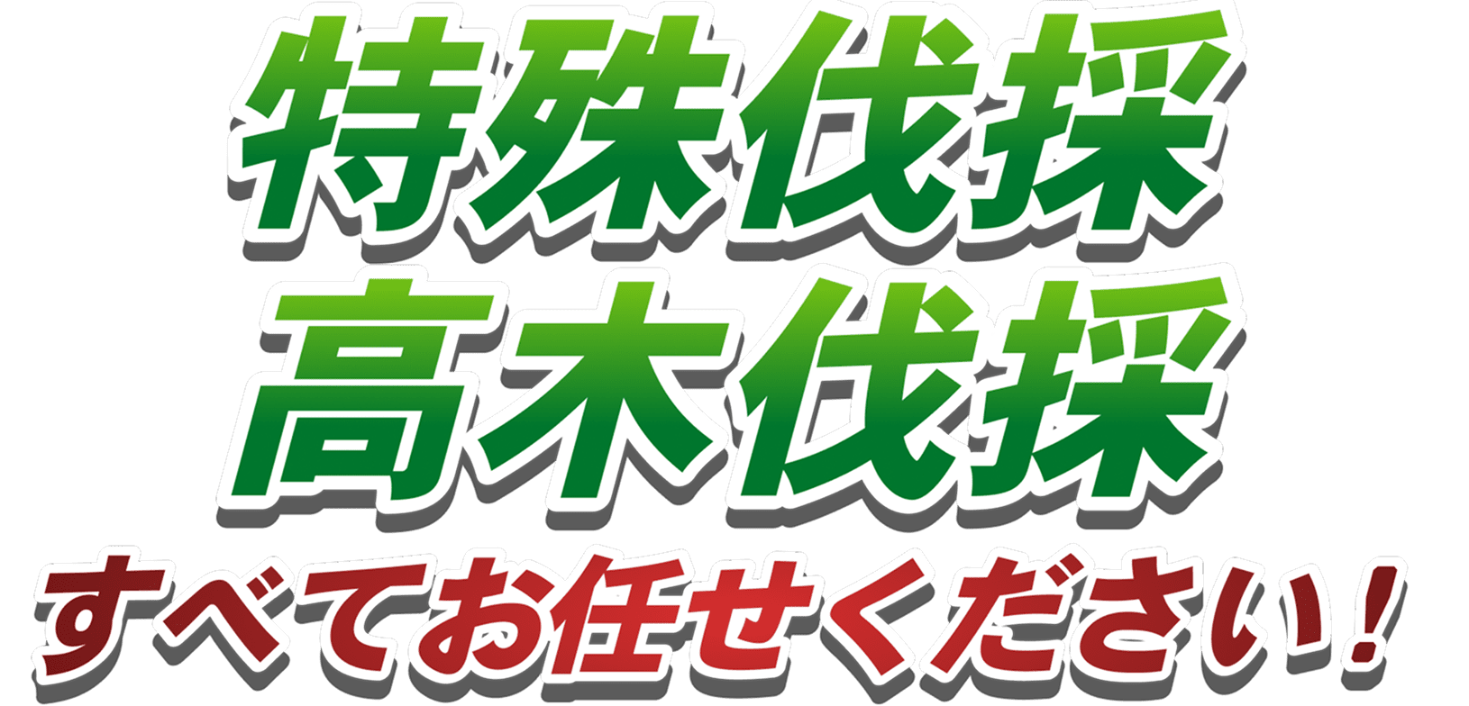 高木伐採全てお任せください