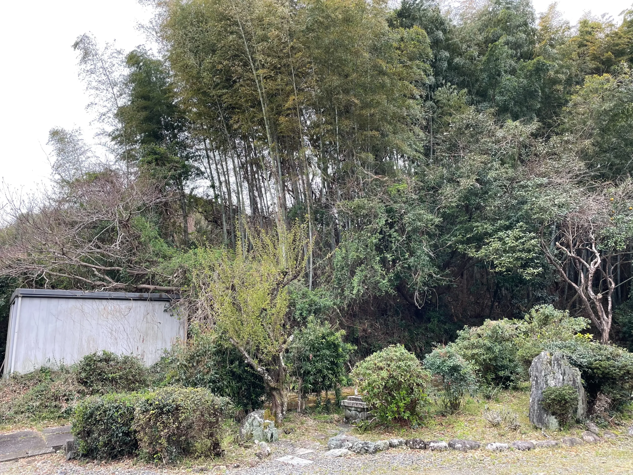 【施工事例】廿日市市で竹林の伐採・粉砕処分｜空き家・裏山の管理対策 - After