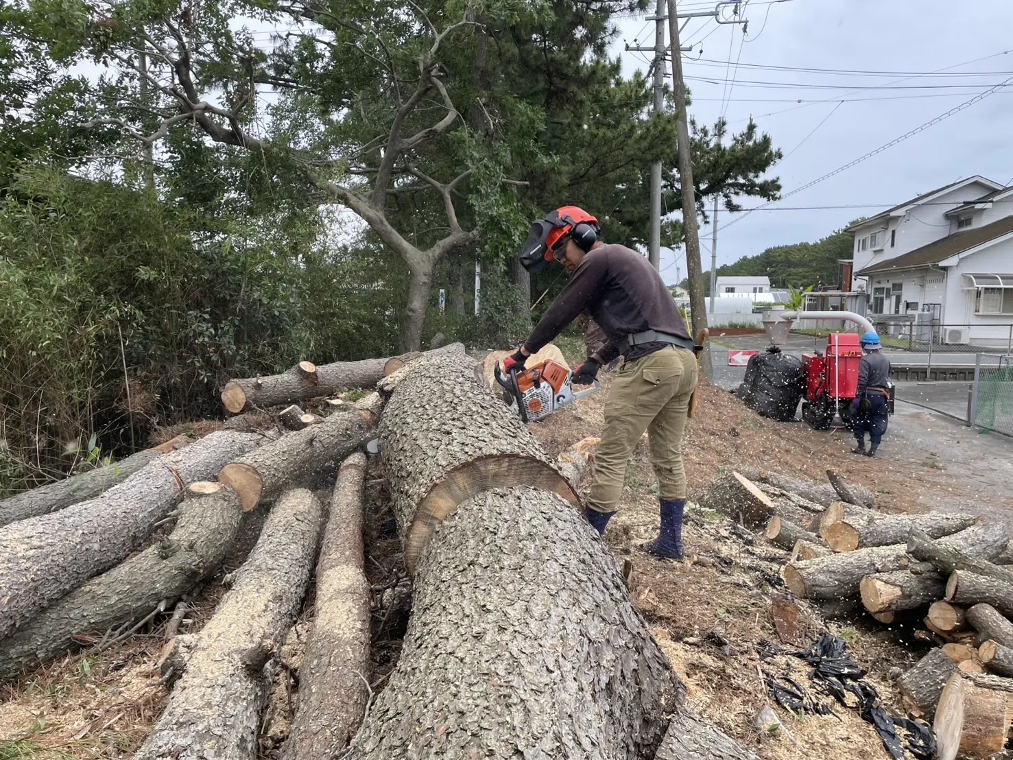 伐採事例｜広島市で松くい虫被害の松を伐採 - After