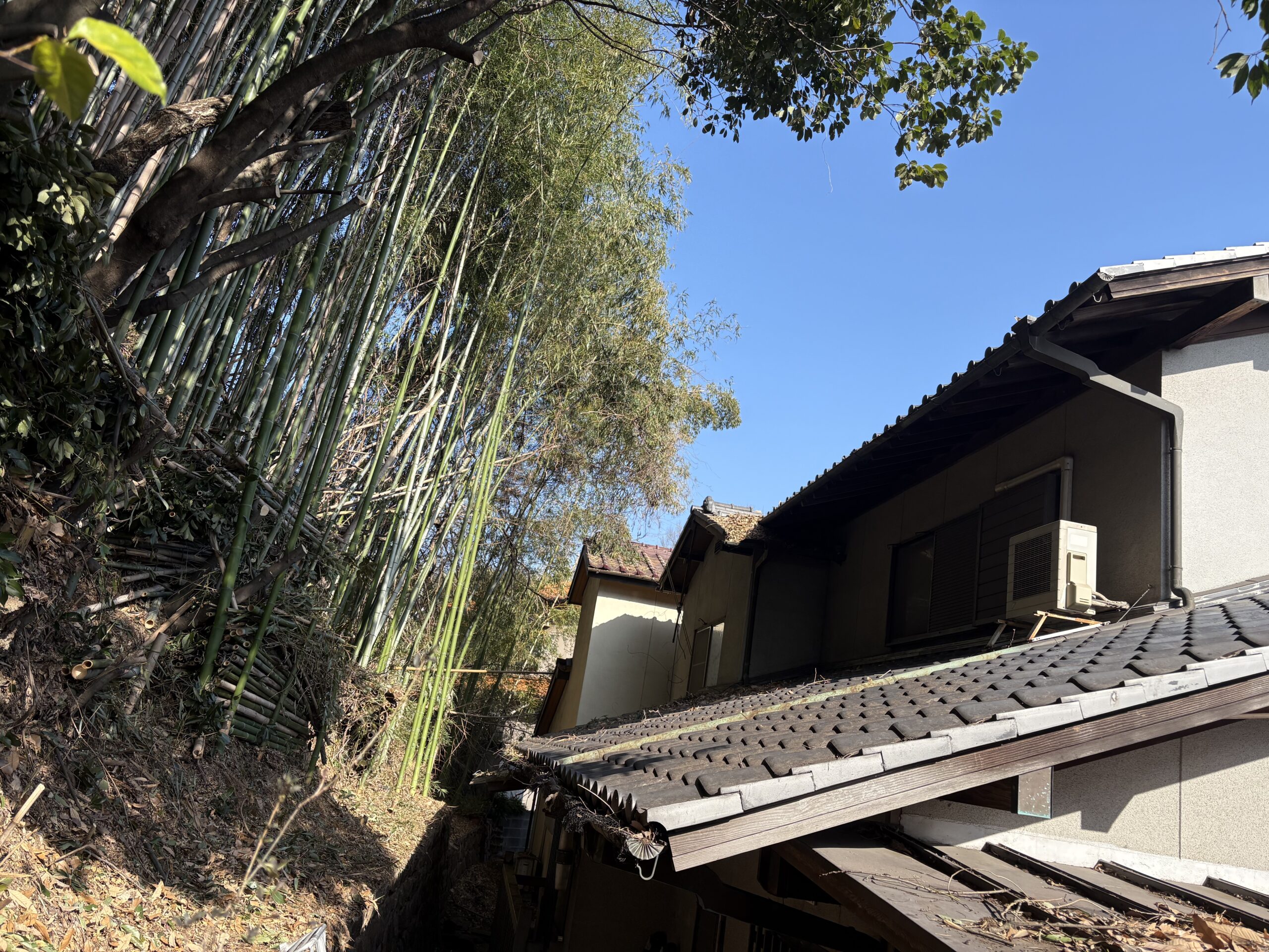 伐採事例｜安芸高田市で屋根上に生える竹林の伐採 - After