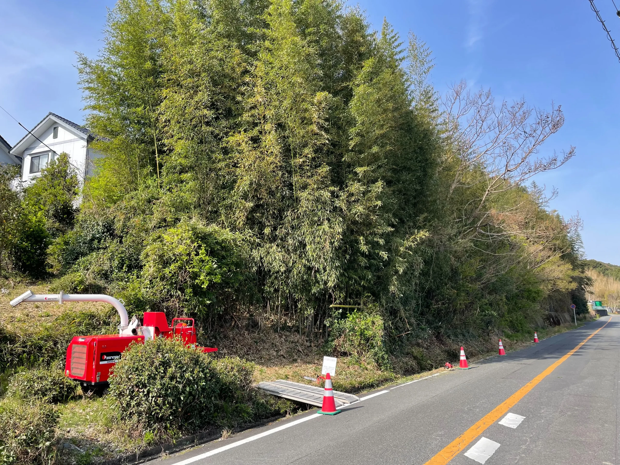 東広島市で道路沿いの竹林を特殊伐採｜倒竹被害を防ぐ伐採事例 - Before